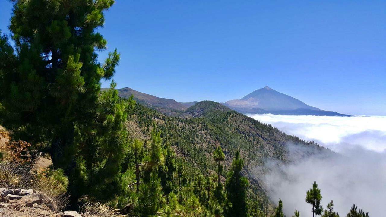Top View Acantilados De Los Gigantes Acantilado de los Gigantes Kültér fotó